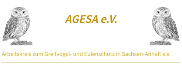 Agesa e.V.